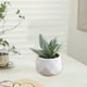 thumbnail image 5 of Mini plantas suculentas artificiales en macetas de plástico para decorar escritorios de oficina en interiores: plantas artificiales de bajo mantenimiento para la estantería de la sala de estar, 5 of 6