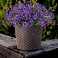 thumbnail image 5 of Artificial Outdoor Flowers,8 Bundles UV Resistant Fake Flowers,Outdoor Artificial Plastic Faux Flowers Greenery Plants for Outdoor Garden Porch Window Box Decoration(Rose Red), 5 of 5
