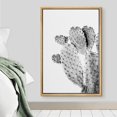 thumbnail image 3 of IDEA4WALL Framed Canvas Wall Art Spiky Cactus with Buds Botanical Art Black And White Desert Succulent Floral Photography Print Rustic for Living Room, Bedroom, Office - 16"x24" Natural, 3 of 5