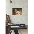 thumbnail image 3 of Epic Graffiti 'Wildness Lioness' by Karen Smith, Canvas Wall Art, 16"x12", 3 of 3