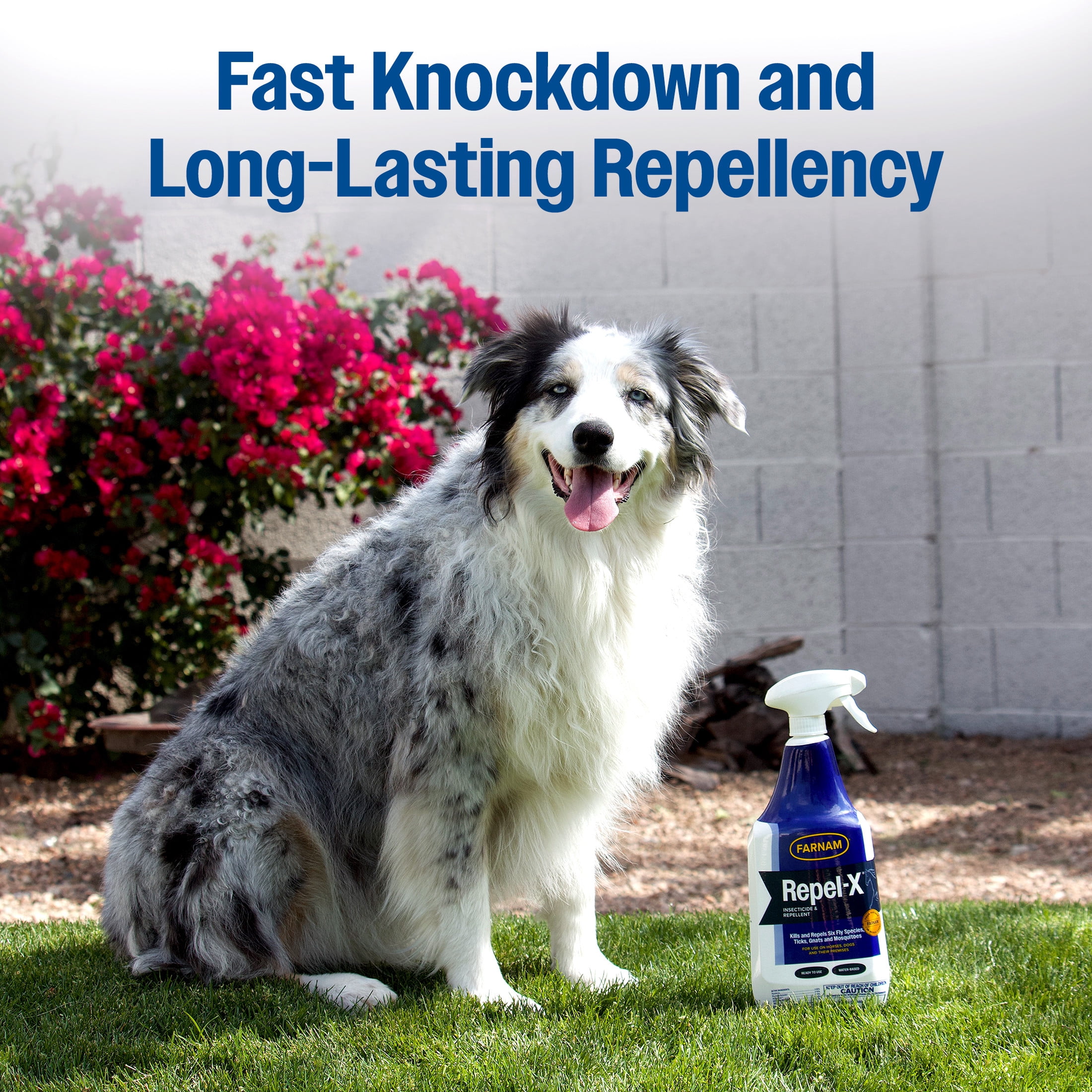 (2 pack) Farnam Repel-X Emulsifiable Fly Spray for Horses and Dogs, Insect Repellent for Flies, Mosquitoes, Ticks & Gnats Ready-to-Use, 32 Fl Oz