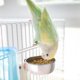 thumbnail image 5 of ¡Promo Exclusiva!, Comedero para pájaros de acero inoxidable, suministros para pájaros que roen, caja de comida para actividades, taza de agua, taza de comida para pájaros Akmoler, 5 of 8