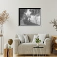 thumbnail image 4 of Historic Framed Print, Walk through the birches, Wequetonsing, Mich., 17-7/8" x 21-7/8", 4 of 9
