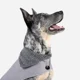 thumbnail image 3 of Chaleco Epernay Gris Para Perro Marca Mes Amis, 3 of 5