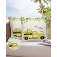 thumbnail image 6 of Pack of 2 Outdoor Pillow Covers, Rustic Vintage Wood Grain Board Brown Farm Lemons Waterproof Square Throw Pillowcase Cushion Decorative Pillow Covers for Couch Patio Tent, 16x16 in, 6 of 6