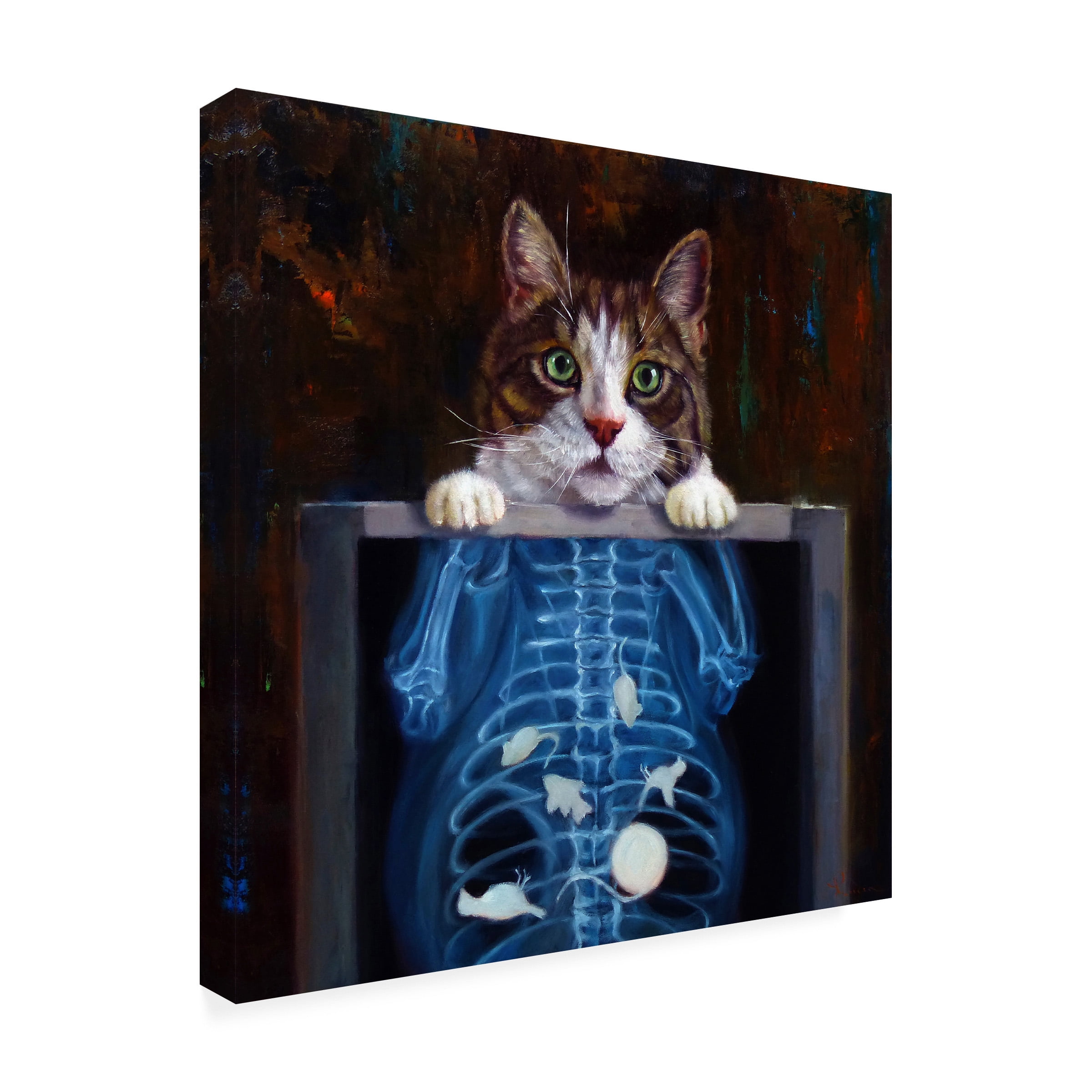 Canvas Wall Art - Lucia Heffernan 'Cat Scan' Wall Art for Living Room, Bedroom, or Office Décor by Trademark Fine Art - 14 x 14 Inches - 14x14