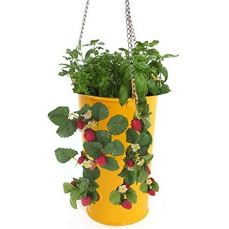 Hanging Strawberry Planter - Houston International Trading 8395E SAFF Enameled Galvanized Hanging Strawberry, Floral Planter - Saffron
