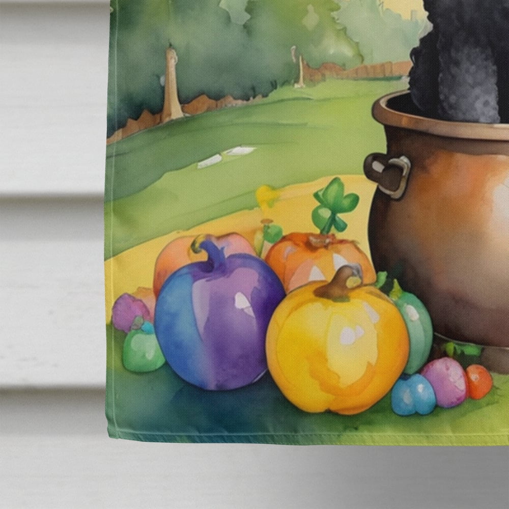 Black Poodle St Patrick's Day House Flag 28 in x 40 in