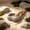 White, variant on Black Imitation Rock Reptile Bowl 4x3 Inch, Natural Crag Pet Food Water Dish for Lizard Gecko Turtle Snake, Non-Tip Amphibian Habitat Feeding Supply