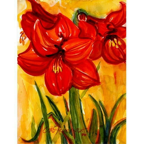 Flower - Amaryllis Flag - Garden Size, 11 x 15 in.