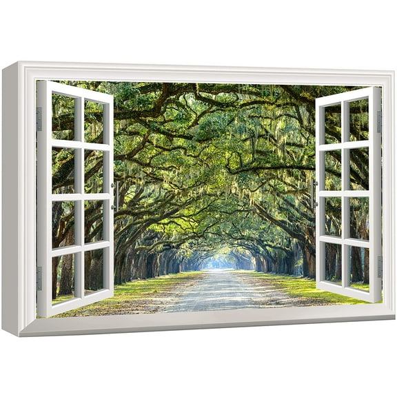 wall26 - Modern White Window Looking Out Into a Road with a Tunel of Trees - Canvas Art Home Art - 16"x24"
