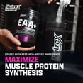 thumbnail image 6 of Nutrex Research EAA Hydration | EAAs + BCAA Powder | Muscle Recovery, Strength, Endurance | 8G Essential Amino Acids + Electrolytes | Strawberry Watermelon 30 Serving, 6 of 11