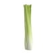 thumbnail image 2 of 1 Unids Artificial Apio Simulación Pantalla Alto Realismo Verduras Comida Juguetes Para , Herramientas De Educación Escolar Yotijar Artificial Vegetable Craft, 2 of 9