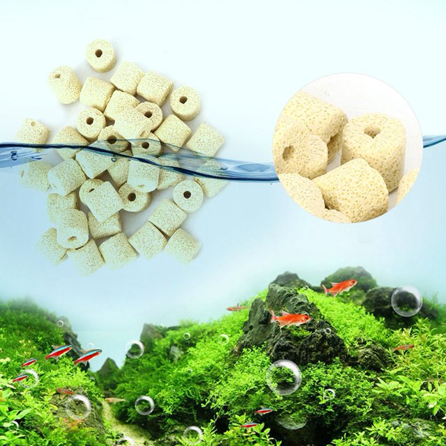 Anillo De Bacterias Del Tanque De Peces Anillo De Bacterias Filtratlon Del Tanque De Peces Anillo De Bacterias Acuario De Agua Purificada Para Tanque De Peces ANGGREK Otros