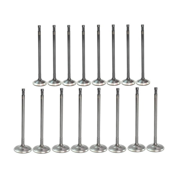 DNJ VK164312 Exhaust Intake Valve Kit Fits Cars & Trucks 13-17 Ford Escape 1.5L-1.6L L4 DOHC 16v