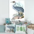 thumbnail image 3 of Designart 'Ancient Australian Birds V' Traditional Framed Art Print, 3 of 4