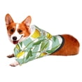 thumbnail image 2 of Bingfone Lemon Dog Clothes Hoodie, Pet Winter Coat,Puppy Sweatshirts For Small Dogs Boy Girl,Suitable For All Breeds-Medium, 2 of 9