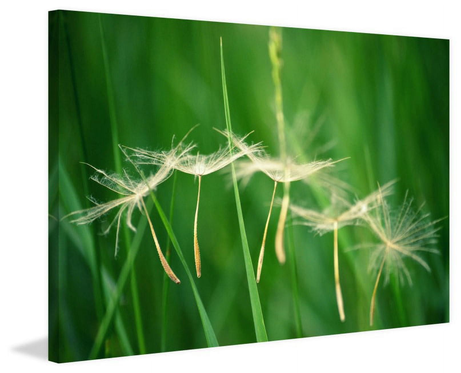 "Best Wishes" by Robert Dickinson Painting Print on Canvas