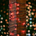 thumbnail image 3 of Novelty Lights 25 Feet 50 LED True Twinkle Red Outdoor Christmas String, 100% Twinkle 5mm LED Lights on Green Wire, Commercial Grade UL Listed, Connectable End to End, 3 of 7