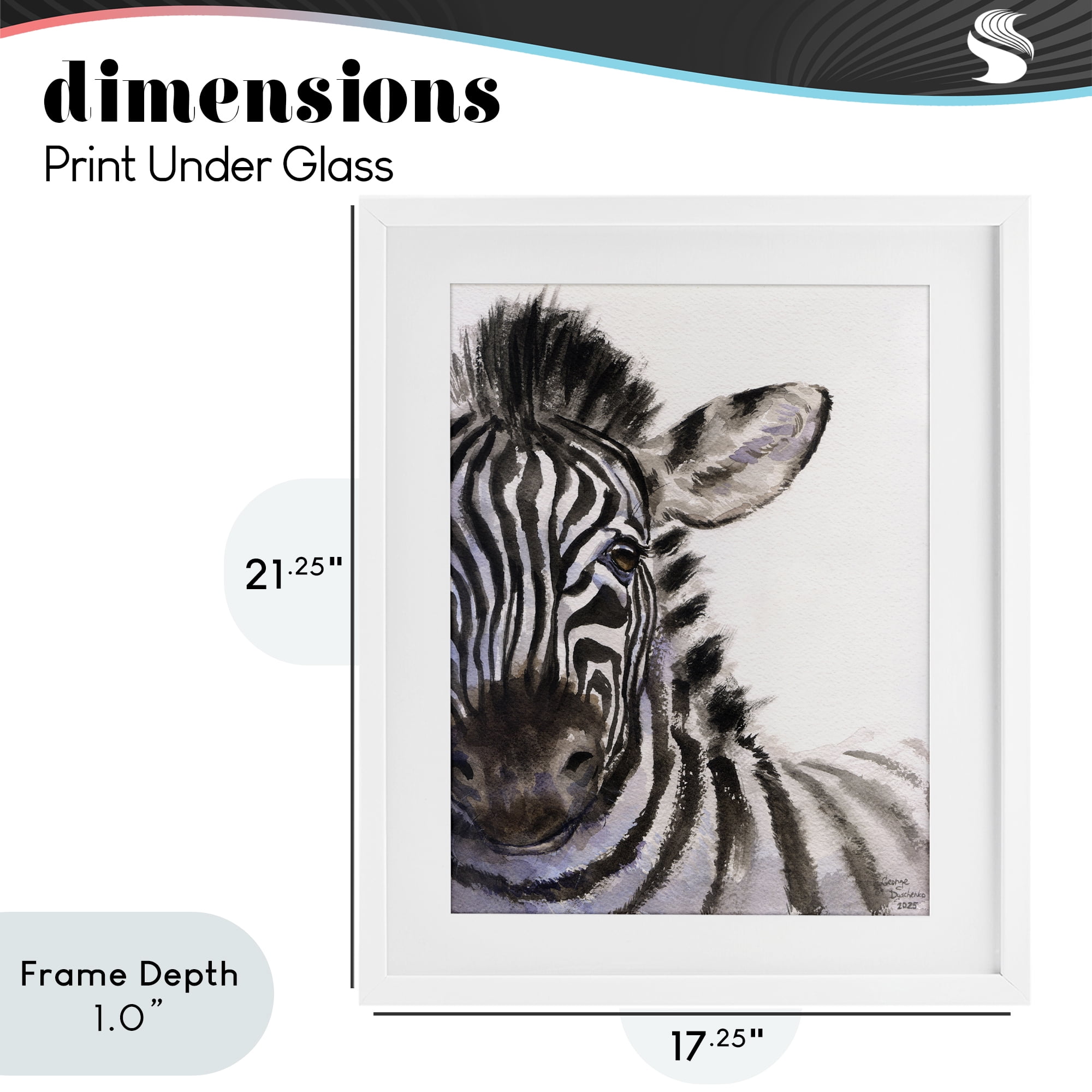 Stupell Industries Zebra Portrait on White White Framed Print Under Glass, design by George Dyachenko