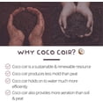 thumbnail image 6 of Pure Coconut Coir Netted Seed Starting Pellets - 42mm - Pack of 100 - Sustainable, Renewable, Unamended - Superior to Peat Plugs - High Water Holding - Minimize Root Loss & Transplant Shock, 6 of 8