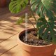 thumbnail image 4 of BRIGHTFUFU 10Ud De Aireación Para Planta Con Protección De Y Mejor Nutriente, 4 of 7