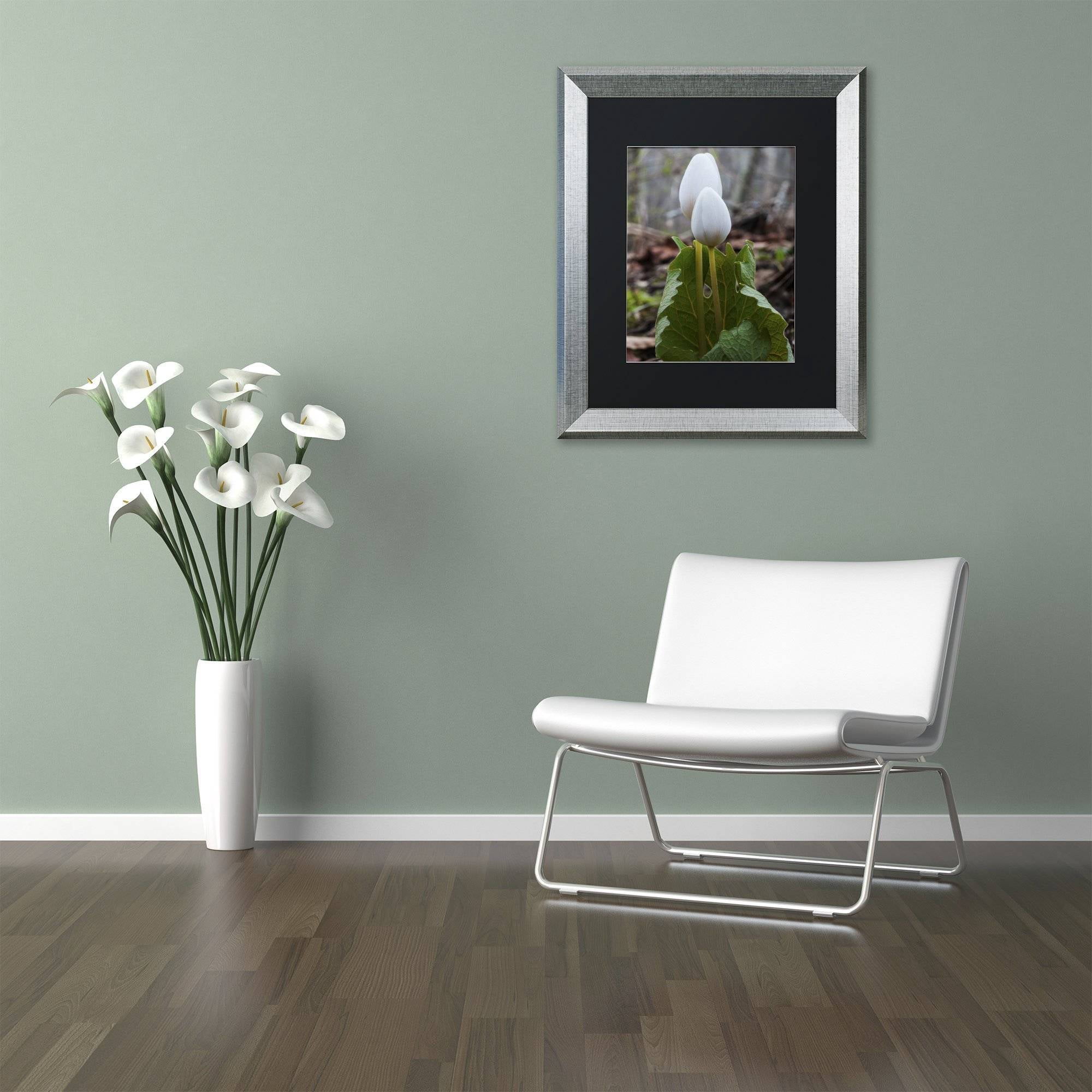 Trademark Fine Art "Bloodroot Wildflower" Canvas Art by Kurt Shaffer, Black Matte, Silver Frame