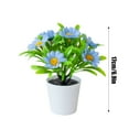 thumbnail image 2 of Ltdhehe Bonsai Desk Arrangement Home Centerpiece Wedding, 2 of 5
