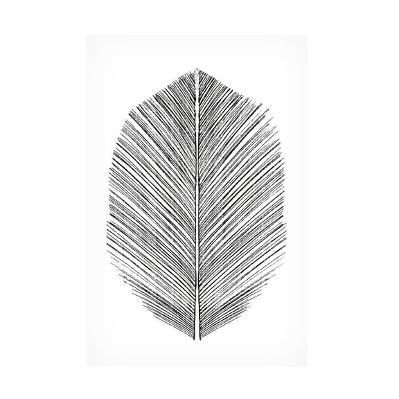 Trademark Fine Art Dan Hobday Feather Canvas Wall Art