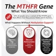 thumbnail image 6 of 10X Health Optimize - Methylated Multivitamin, 90 Capsules, 6 of 11