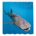 thumbnail image 3 of Ambesonne Ocean Shower Curtain, Swimming Whale Sea, 69"Wx75"L, Dimgray Blue, 3 of 5