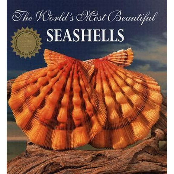 Pre-Owned The World's Most Beautiful Seashells (Hardcover) 1884942032 9781884942037