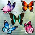 thumbnail image 1 of Protector de pantalla magnético con forma de mariposa, 10 unidades, 1 of 6