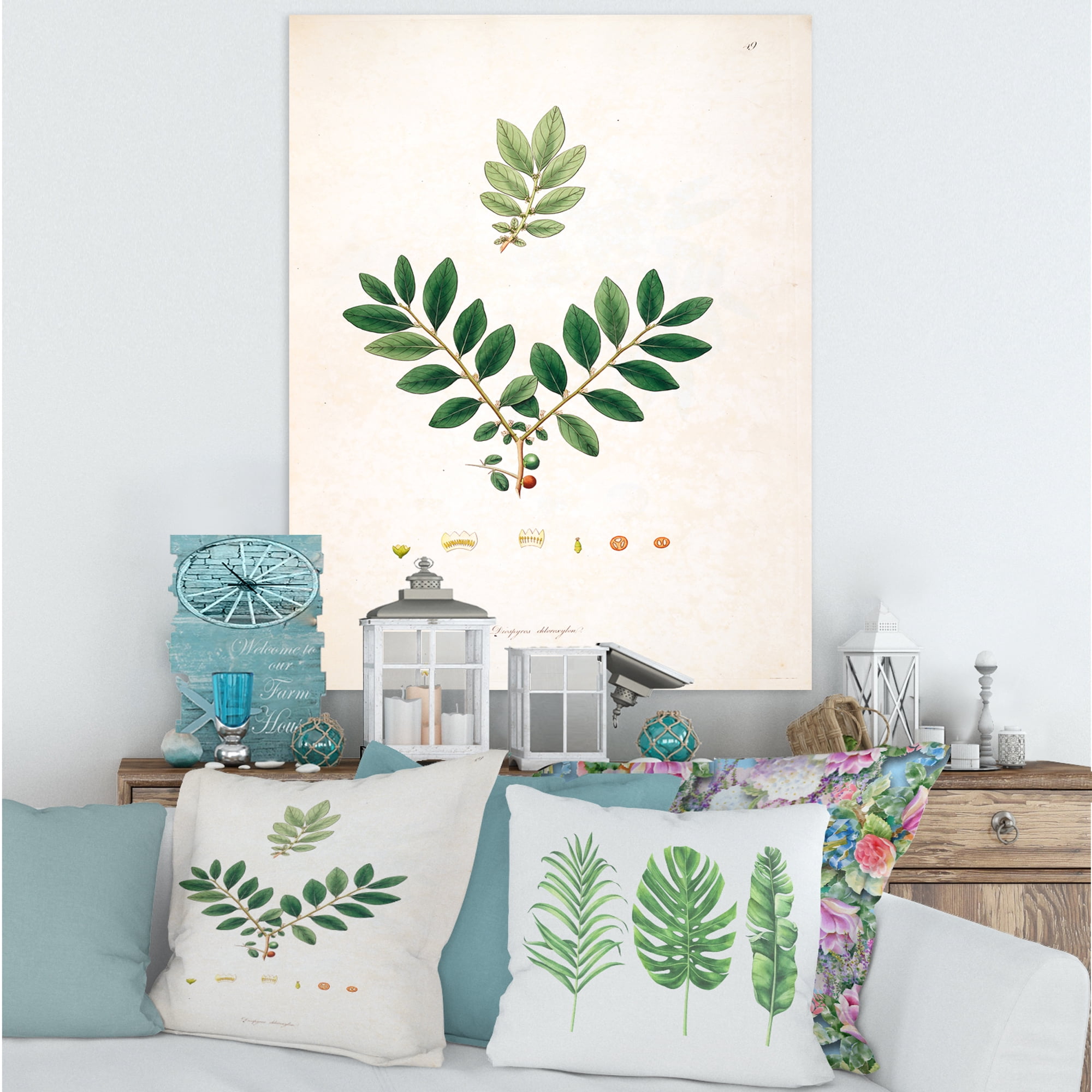 Designart ' Ancient Plant Life XIV ' Farmhouse Canvas Wall Art Print