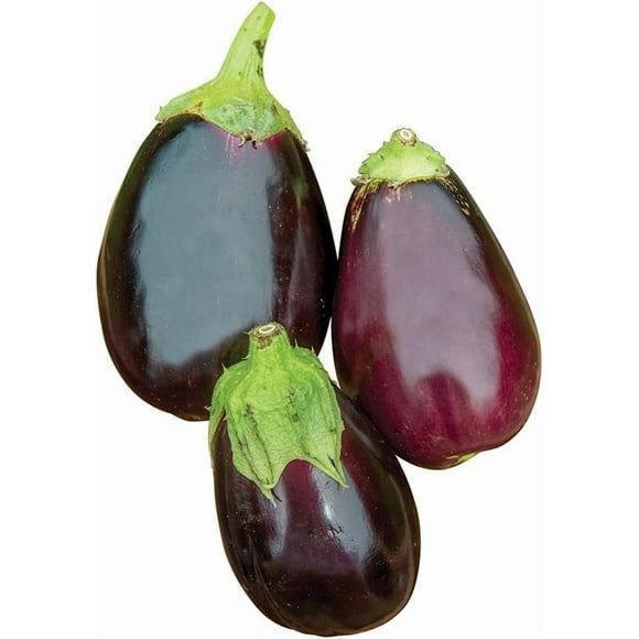 HIGHGW Graines d'Aubergine Beauté Noire, 100 Graines Patrimoniales non-OGM, Jardin à la Maison