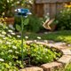 thumbnail image 5 of Drinker Feeder Flower Shape Water Feeder Metal Garden Stake For Outdoor Small, 5 of 5