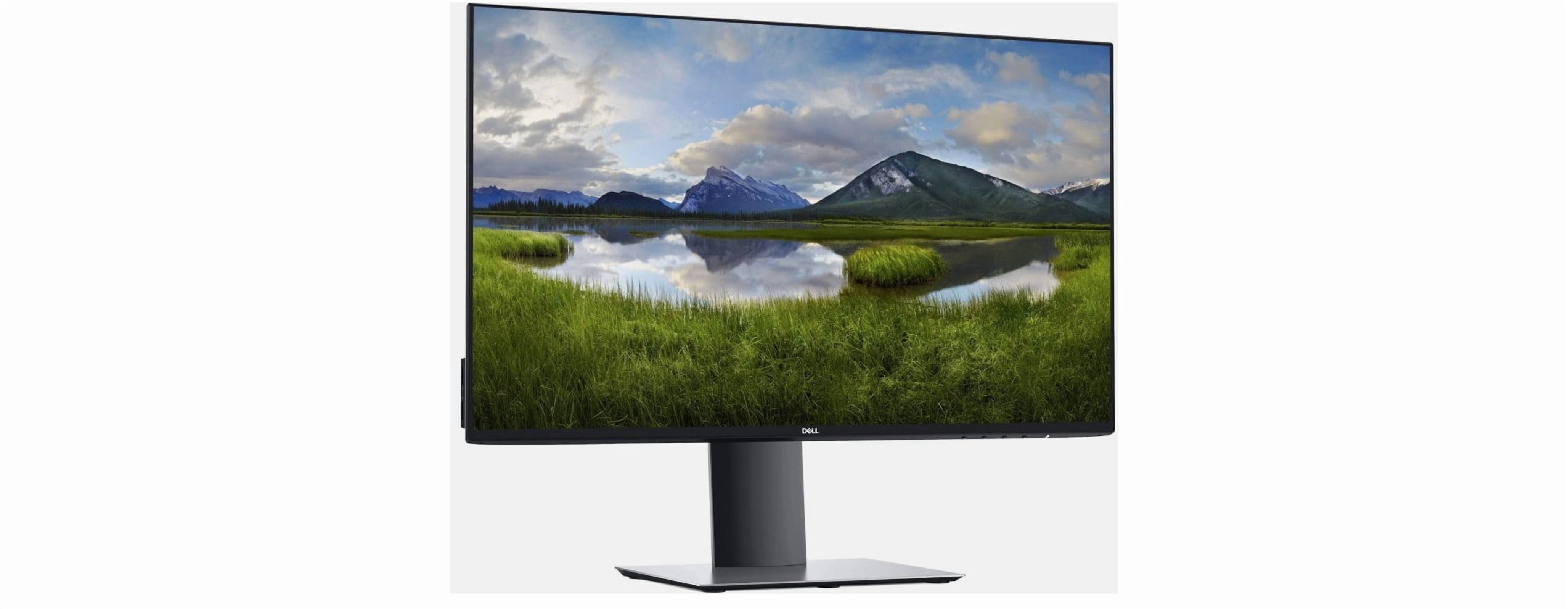 Dell 24