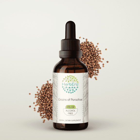HerbEra Grains of Paradise Tincture, Herbal Dietary Supplement for Vitality Support, Grains of Paradise (Aframomum melegueta) Dried Seeds Extract, Natural, Alcohol-Free, Drops 2 oz