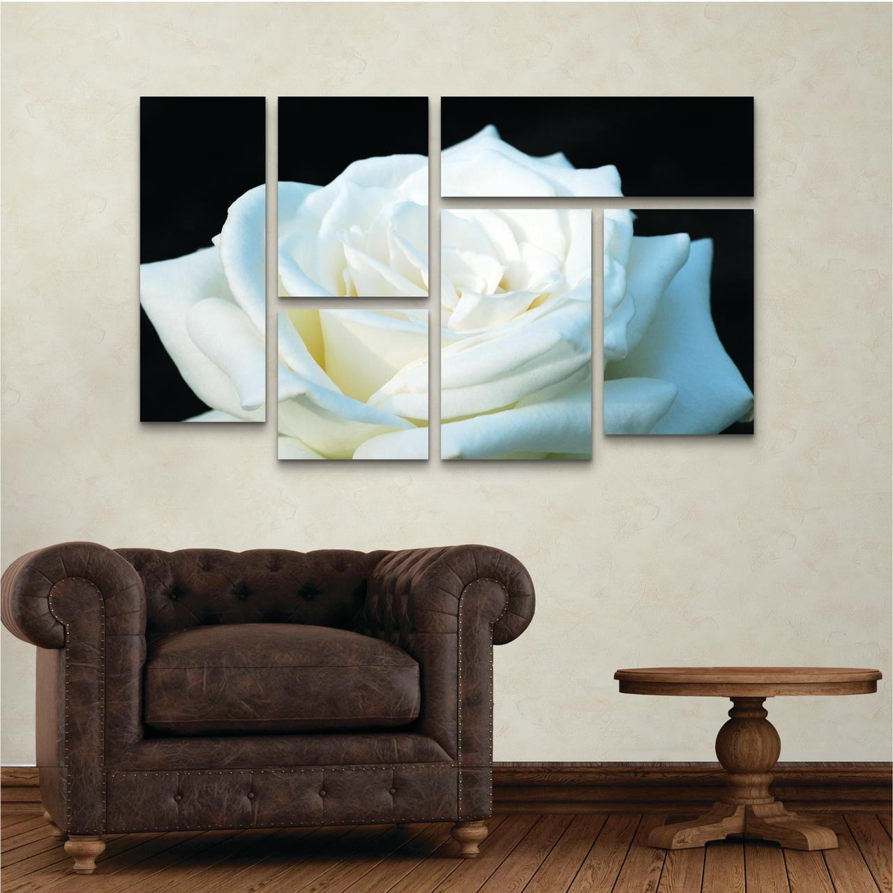 Trademark Fine Art 'White Rose II' Canvas Art by Kurt Shaffer