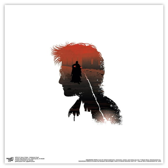 Gallery Pops Harry Potter - Voldemort Duel Wall Art, Unframed Version, 12" x 12"