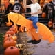 thumbnail image 1 of Disfraz inflable de camarón para Halloween, ideal como accesorio fotográfico o como recuerdo de fiesta., 1 of 8