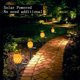 thumbnail image 3 of Luces solares de estaca para decoración de jardín, paquete de 2 luces impermeables de piña para exteriores, decoración de pasarela de césped y patio, 3 of 5