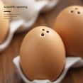 thumbnail image 7 of Ceramic Salt and Pepper Shaker Set, Mini Brown Egg Shaped Shakers with Carton Design Holding Stand, 7 of 7