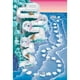 thumbnail image 3 of Juego de mesa Wacky Wizard Games Push Push Penguin +6 años, 3 of 9