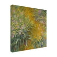 thumbnail image 3 of Trademark Fine Art Claude Monet The Path through the Irises Canvas Wall Art - 18x18, 3 of 5