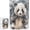 500 PCS, variant on zomyto Christmas Panda Porch Decor 1000 Piece Jigsaw Puzzle 20x30 Inch Porch Garage Animal Gift