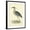 Black Frame, variant on Art.com Vintage Night Heron Art Print by Morris, 12" x 16"