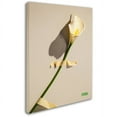 thumbnail image 2 of Trademark Fine Art "Lily" Canvas Art by Roderick Stevens, 2 of 3