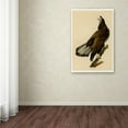 thumbnail image 3 of Audubon 'Whiteheaded Eagleplate 126' Canvas Art, 3 of 3