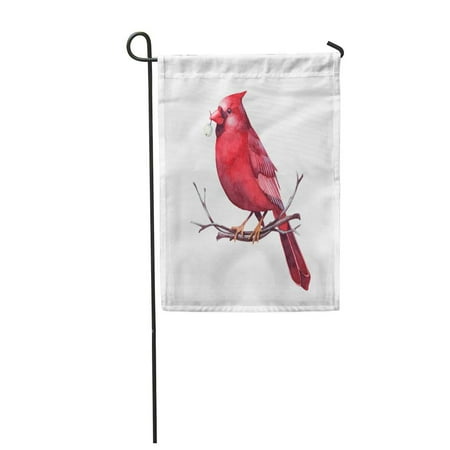 KDAGR Red Cardinal Sitting on Twig Berry in Beak Watercolor Christmas Garden Flag Decorative Flag House Banner 28x40 inch